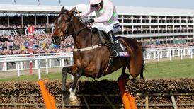 Handicapper says Douvan has “potential to be  anything’