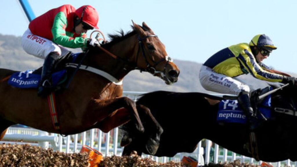Neon Wolf (L), runner-up in the 2017 Neptune at Cheltenham, has suffered a fatal injury. Photograph: Dan Sheridan/Inpho