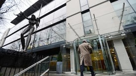 Code of conduct has no legal standing, hears Oireachtas committee