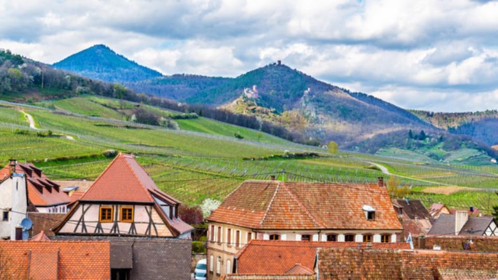 Vosges Mountains: John Quinn died after losing his footing while hiking. Stock photograph: Getty