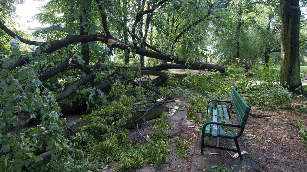A fallen tree lays near a park bench after a heavy storm hit Lodz, central Poland. Photograph: Gregorz Michalowski/EPA