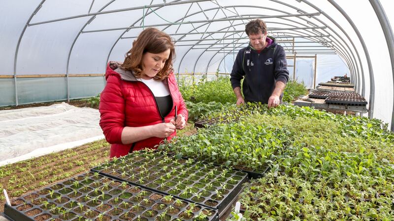 Mags and Joe Bohan in their polytunnel in Moyculen where they grow vegetables for their restaurant, Dela, in Galway city