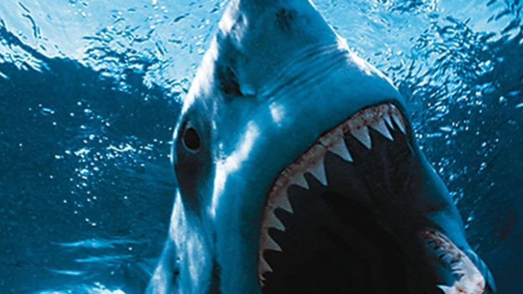 Jaws: bit off more than he could chew