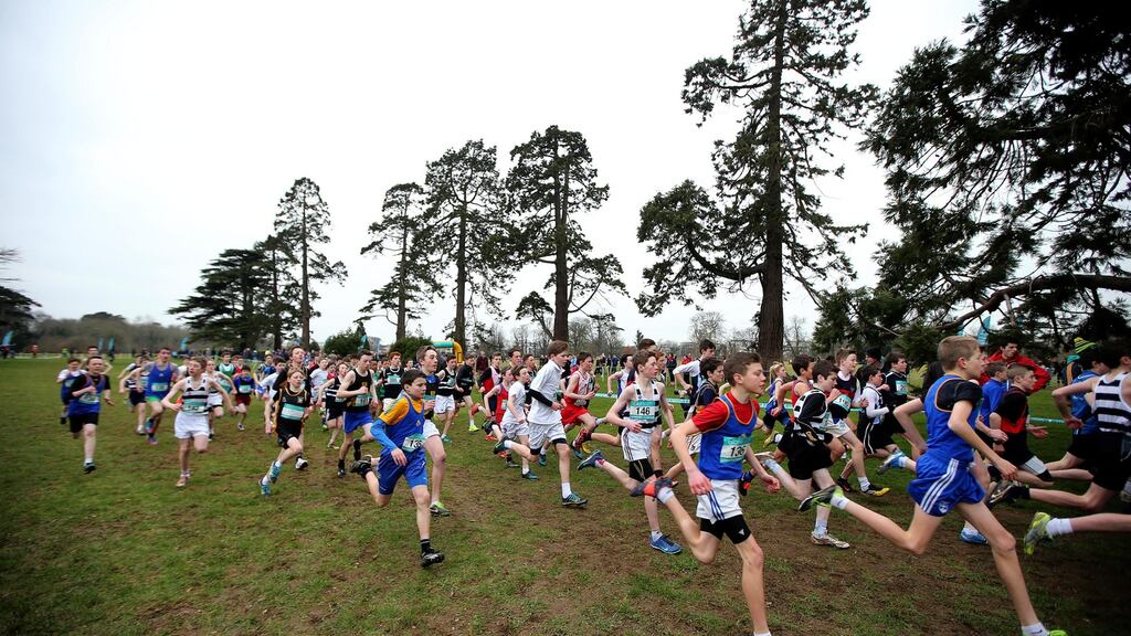 There is no better breeding ground for new talent than the schools cross-country championships. Photograph: Ryan Byrne/Inpho