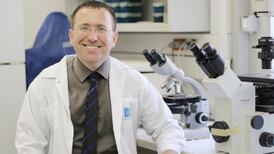 Sperm count of Western men in downward spiral, study finds