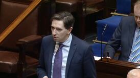 Abortion debate: Dáil told of proposals for free contraceptive service
