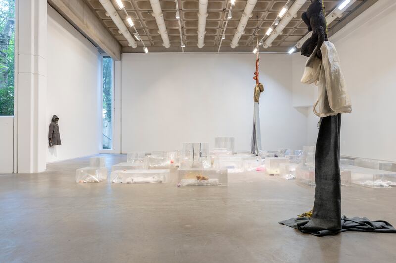 Liz Magor: The Rise and the Fall at the Douglas Hyde. Photograph: Louis Haugh/courtesy DHG and the artist