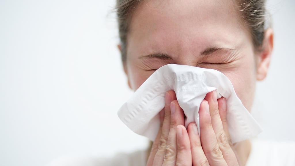 Do I have a cold? The flu? A virus? Or...what?