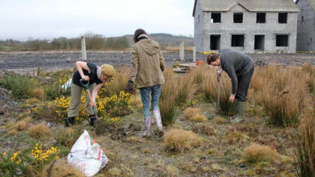 Nama to Nature volunteers planting sapling trees in Co Leitrim in 2012. Photograph: Andrew Legge