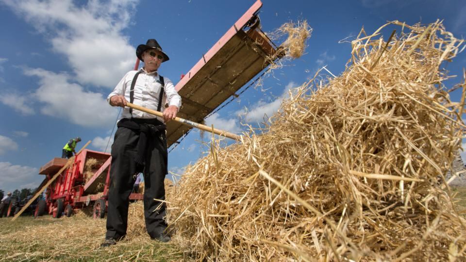 Paddy Knox from Inistioge Co Kilkenny pictured at the Thomastown Classic Steam and Vintage Club Field day at Grennan, Thomastown Co  KIlkenny yesterday. Photograph: Dylan Vaughan