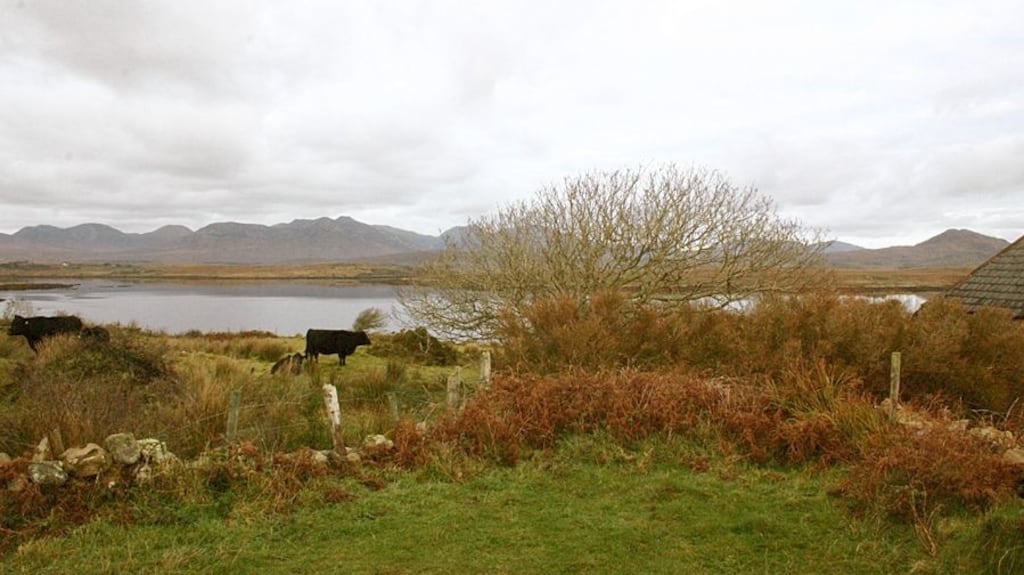 A long-running legal dispute over the sale of an island off the west coast has returned before the High Court.