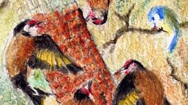 Garden feeders have led to a goldfinch boom. Is this a good thing?