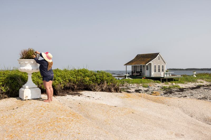 Charlotte Gale tending to her plants on Duck Ledges Island. Photograph: Greta Rybus/The New York Times