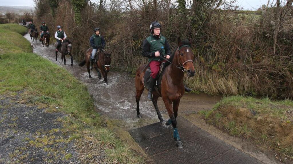 Paul Townend and Hurricane Fly lead Willie Mullins’ string at the trainer’s base in Closutton, Co Carlow. Photograph: Niall Carson/PA Wire.