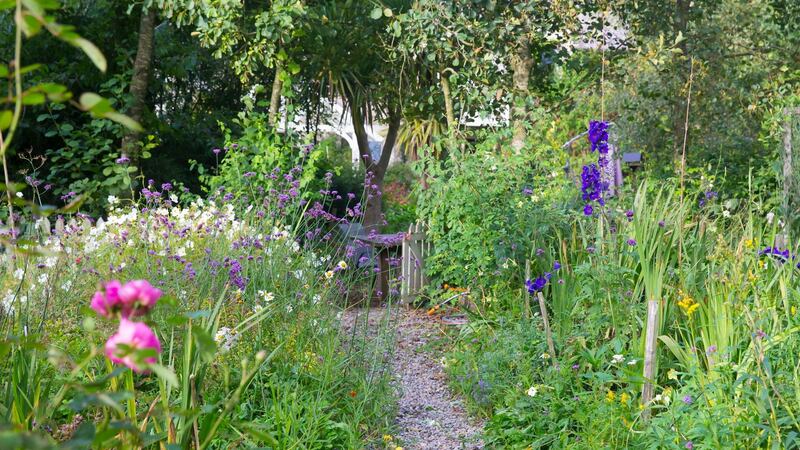 Liz Fitzgerald’s garden. Photograph: Patrick Browne