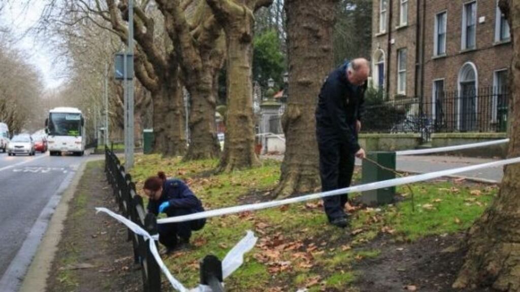 Gardaí at the scene in Drumcondra where a 36-year-old woman was stabbed as she walked home from work by another woman who demanded her handbag. Photograph: Gareth Chaney Collins