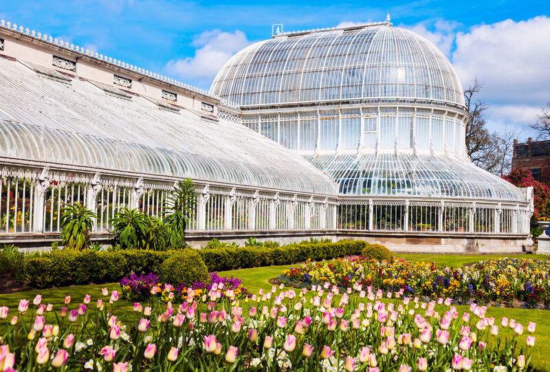 Palm House in Botanic Gardens, Belfast: beautiful place for a stroll. Photograph: iStock/Getty Images