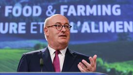 Ireland has a beef with EU-Mercosur trade agreement