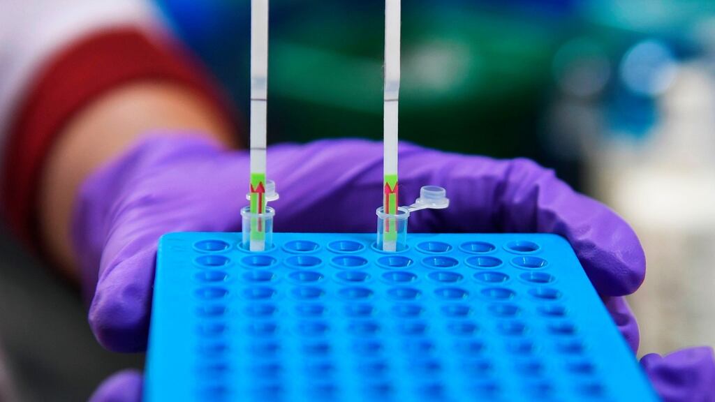 Some rapid tests under development promise to give results at a similar speed of a pregnancy test. Photograph: Money Sharma/AFP via Getty Images