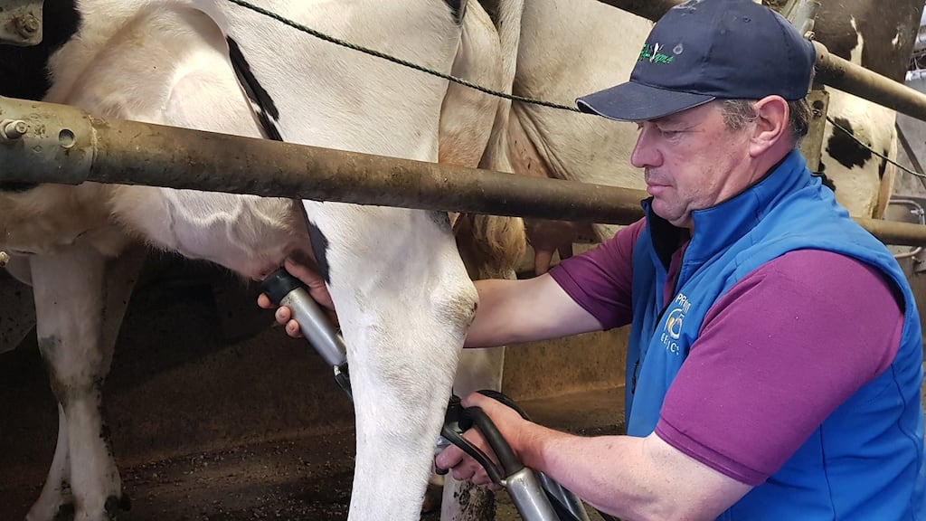 Dairy manager Peter Taaffe said milking the last of the cows would be a sad occasion, but stressed that the gloom would be tinged with relief.