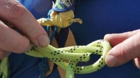 Scouting Ireland: How the scandal unfolded