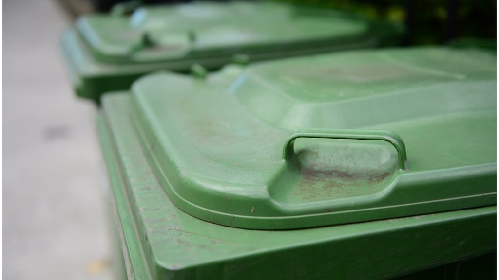 The new positions will bring Greyhound’s employee total to 600.  Photograph: Bryan O’Brien