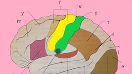 Bunkhouse: My Reptile Brain – Lo-fi screwball pop and absurd lyrics that include a nod to RIP.ie