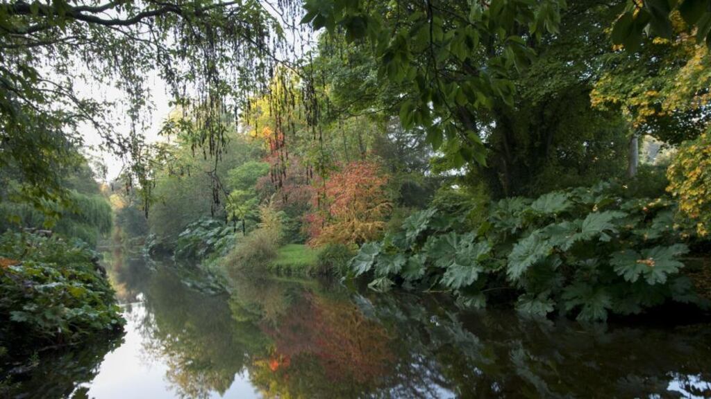 Mount Usher Gardens, Ashford, Co Wicklow, from The Irish Garden by Jane Powers. Photograph: Jonathan Hession