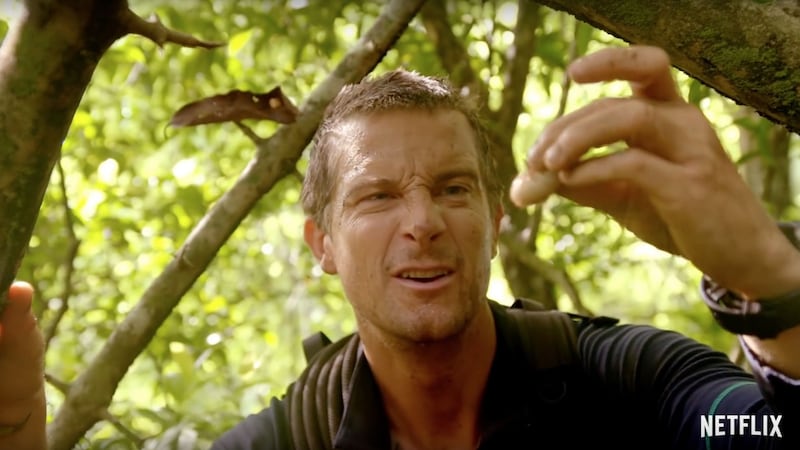 Bear Grylls: eat it or dump it... the viewers will decide