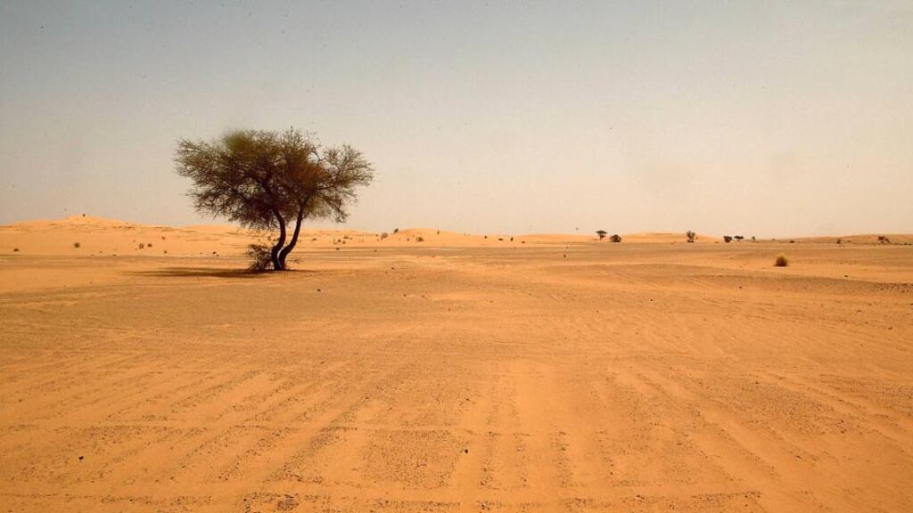 The Saharan desert. The migrants died in October, six miles from the border between Niger and Algeria, when one of their two vehicles broke down and the other left them as it headed off looking for new parts. Photograph: Hocine Zaourar/AFP/Getty Images