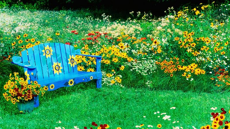 Leave the lawn mower in the shed and let your garden grow. Photograph: Getty