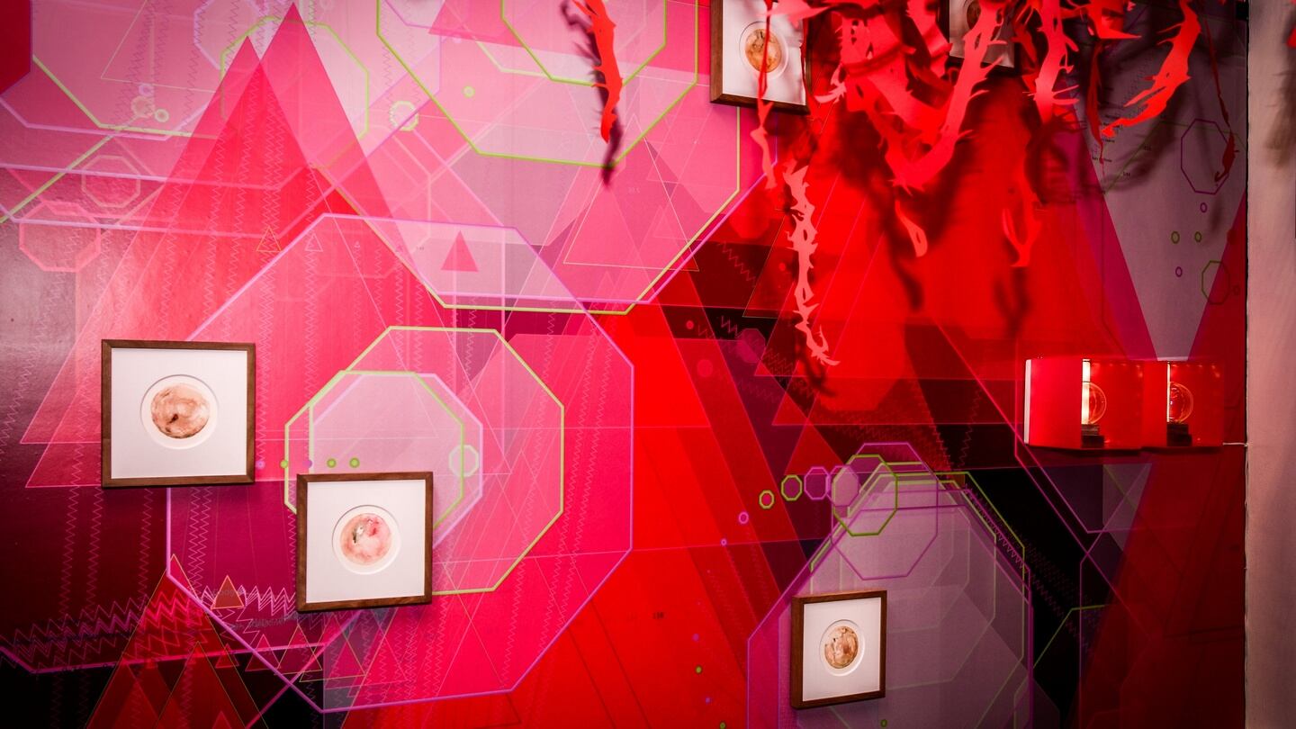 Astronomical Mashup at the Lab, Dublin by Lucy McKenna. Photograph: Peter Varga