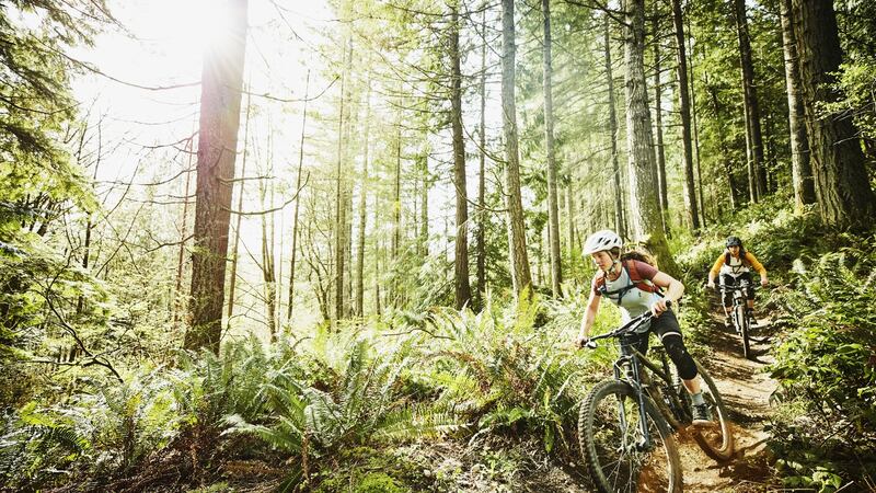 Mountain biking trails can be found in Sligo, Leitrim and Dublin among others. Photograph: Getty
