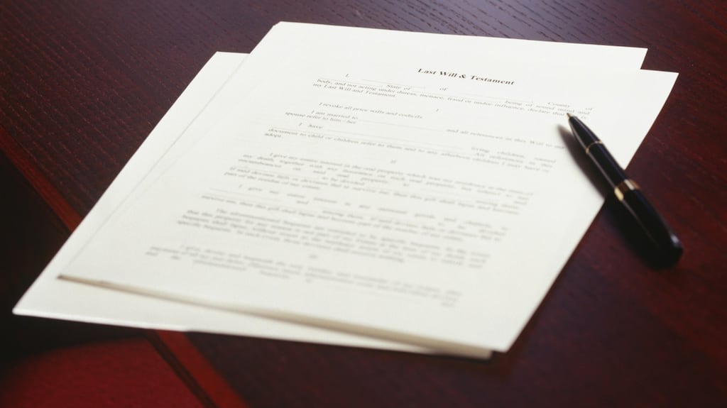 A doctor’s 32-year-old adopted child was given half of his late father’s estate when he took one of the first cases under section 117 of the Succession Act 1965. Photograph: Thinkstock/Getty Images