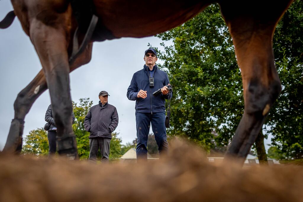 Trainer Aidan O'Brien is aiming City of Troy at November’s Breeders Cup Classic in Del Mar. Photograph: Morgan Treacy/Inpho