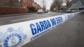 Drug crime, sexual offences, fraud all significantly increasing in Republic