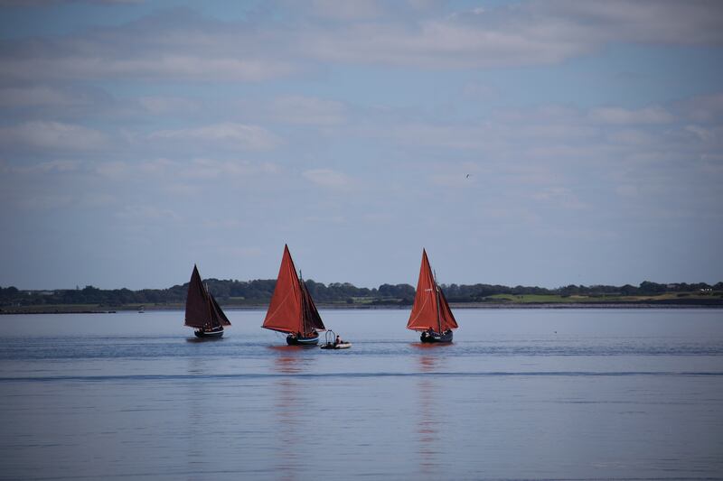 Galway hookers. Photograph: Chaosheng Zhang