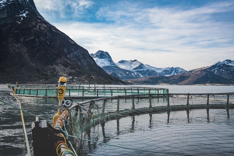 Kvarøy Arctic fish farm in Norway. Photograph: Janita Zenteno/Kvarøy Arctic