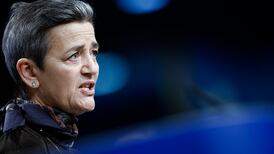 State losing out on investment under new EU subsidy scheme, MEP warns