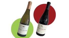 Two Languedoc wines worth a small splurge