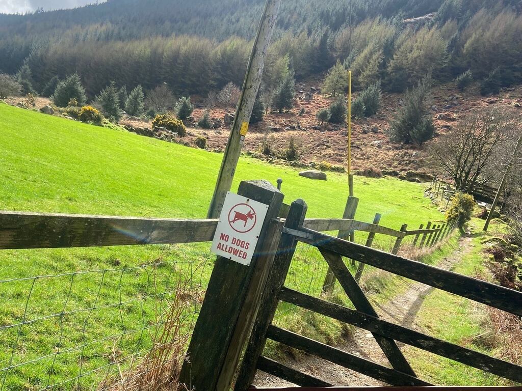 The group of land owners near Lugnaquilla in Co Wicklow stipulated no dogs should be brought onto the mountain due to the disturbance they caused to livestock, including sheep being mauled.