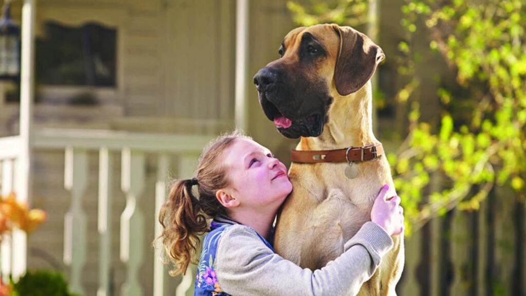 Ulster Bank’s new television advertisement, devised in Dublin by Oglivy, is first its since 2011.