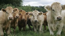 Breach in EU ammonia limits needs ‘urgent’ attention, says EPA