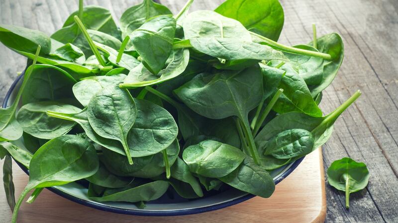 Spinach can be kept in the freezer to extend its life.