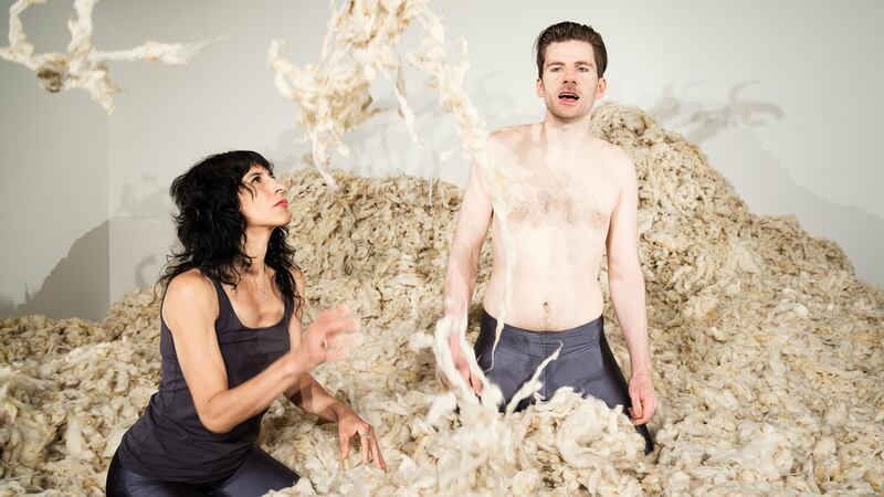 Sheep dip: Orla Barry, ‘Breaking Rainbows’, at Crawford Art Gallery