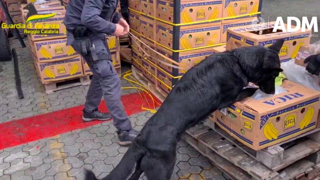 Italian olice and customs officers said that they had seized over 2.7 tonnes of highly pure cocaine in the Calabrian port of Gioia Tauro. The drugs were hidden in two refrigerated containers amid 78 tonnes of bananas. Photograph: ADM