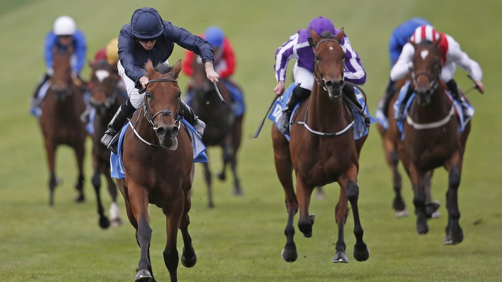 Ryan Moore riding Rhododendron (centre)  at Newmarket  in October. The horse’s  odds for the Filly & Mare at Del Mar have eased after  drawing 14 of 14. Photograph: Getty Images