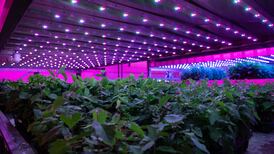 ‘We can’t stand still and farm as we’ve always farmed’