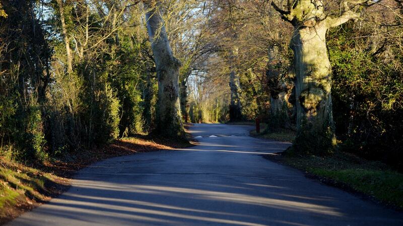 St Catherine’s Park in Lucan. Photograph: Alan Betson/The Irish Times