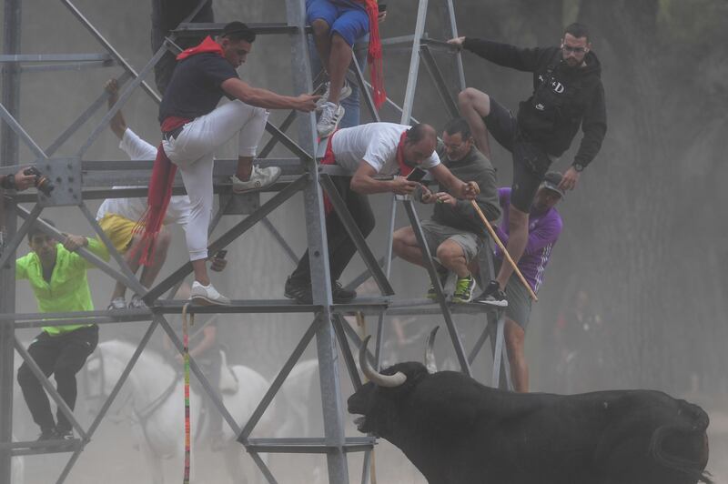 The Toro de la Vega festival in the central Spanish town of Tordesillas. Photograph: Oscar Del Pozo Canas/AFP